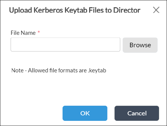 upload-kerberos-keytab-director.png