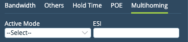 add-Ethernet-interface-Multihoming-tab.png