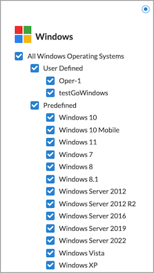 create-secure-access-rule-windows-v2-border.png