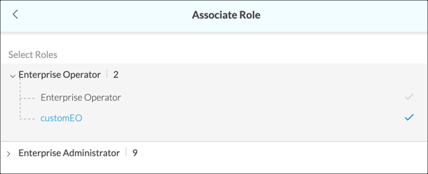 Associate_role_for_enterprise.png