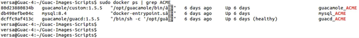 verify-docker-containers.png