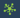 networking-icon.png