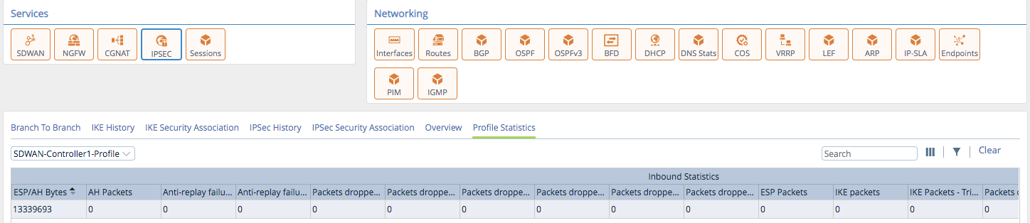 Monitor-Services-IPSEC-profile-statistics-tab.png