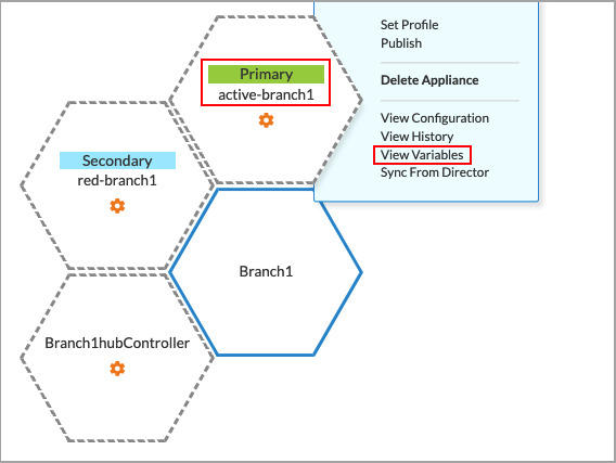 CSR-options-view-variables-active-active-border.png